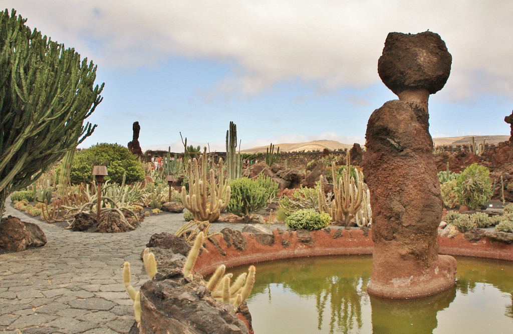 Foto: Jardín de Cactus - Guatiza (Lanzarote) (Las Palmas), España