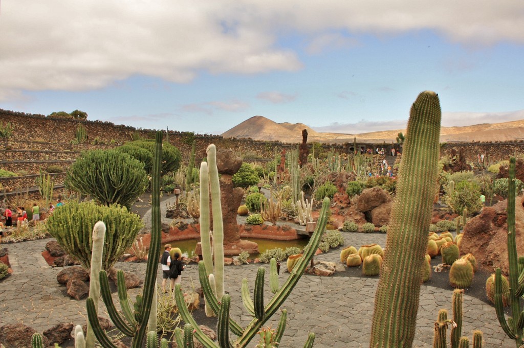 Foto: Jardín de Cactus - Guatiza (Lanzarote) (Las Palmas), España