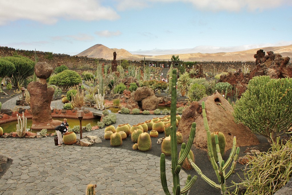 Foto: Jardín de Cactus - Guatiza (Lanzarote) (Las Palmas), España