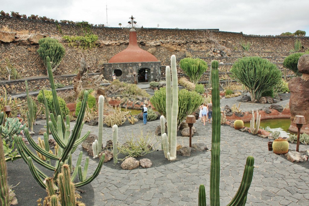 Foto: Jardín de Cactus - Guatiza (Lanzarote) (Las Palmas), España