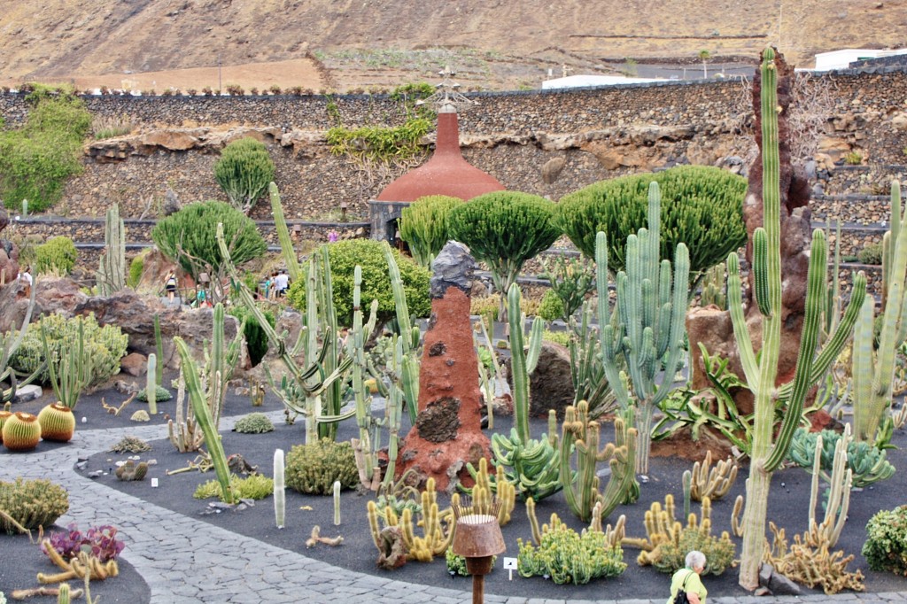 Foto: Jardín de Cactus - Guatiza (Lanzarote) (Las Palmas), España