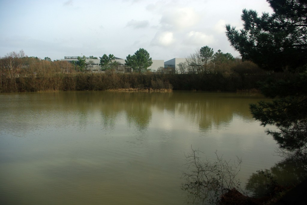 Foto de O Porriño (Pontevedra), España