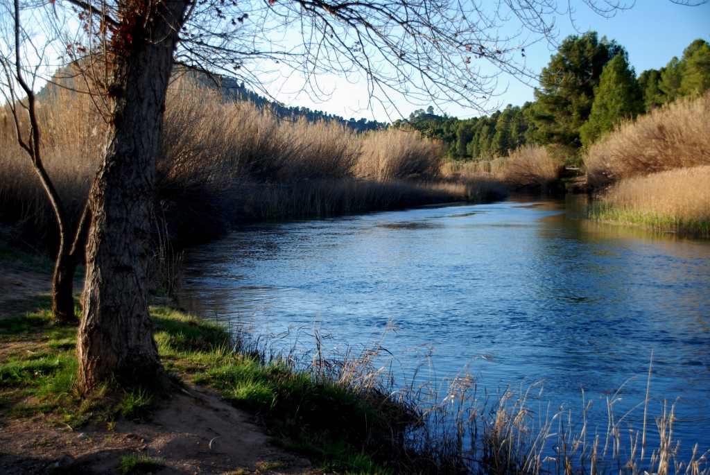 Foto: Casas del Rio - Requena (València), España