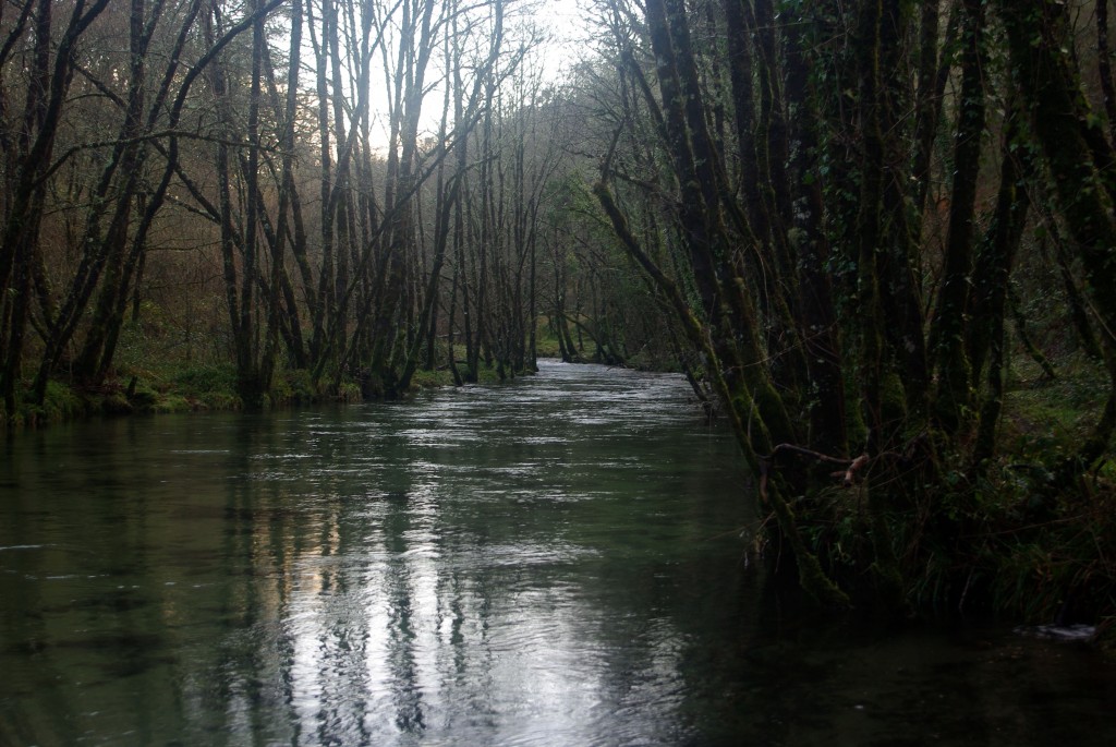 Foto de Fornelos de Montes (Pontevedra), España