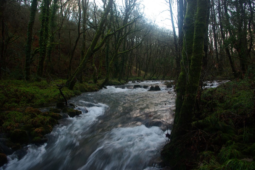 Foto de Fornelos de Montes (Pontevedra), España