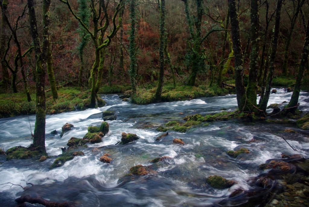 Foto de Fornelos de Montes (Pontevedra), España