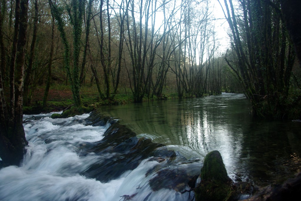 Foto de Fornelos de Montes (Pontevedra), España