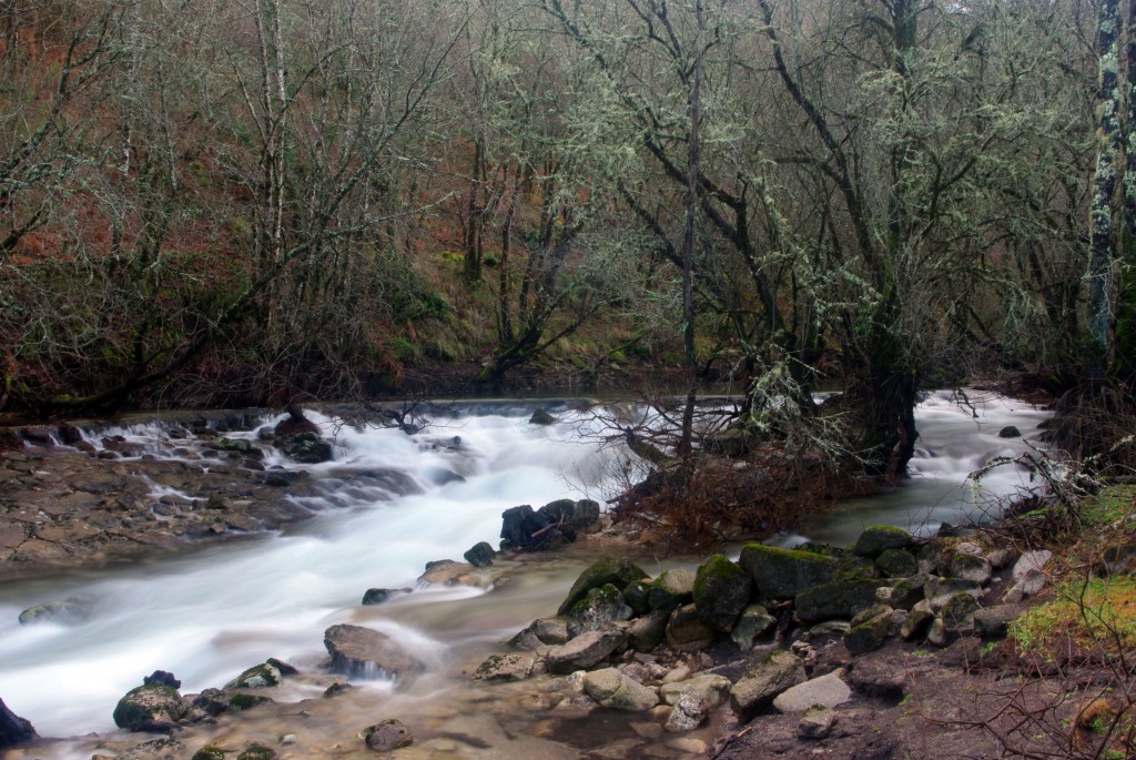 Foto de Fornelos de Montes (Pontevedra), España