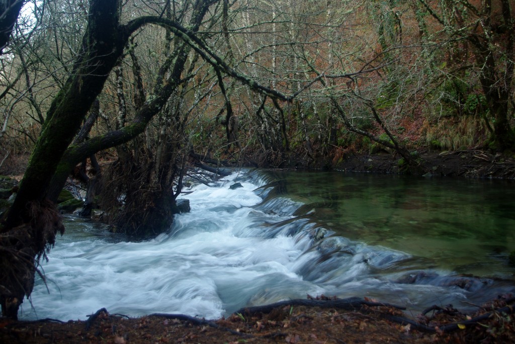 Foto de Fornelos de Montes (Pontevedra), España