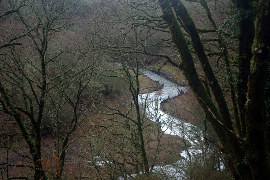 Foto de Fornelos de Montes (Pontevedra), España