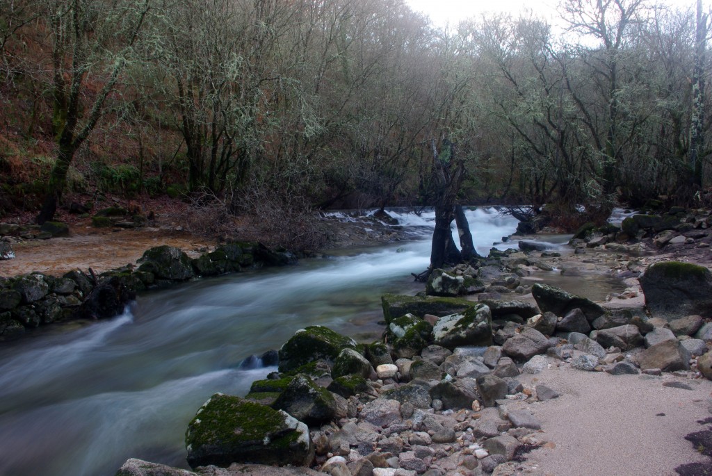 Foto de Fornelos de Montes (Pontevedra), España