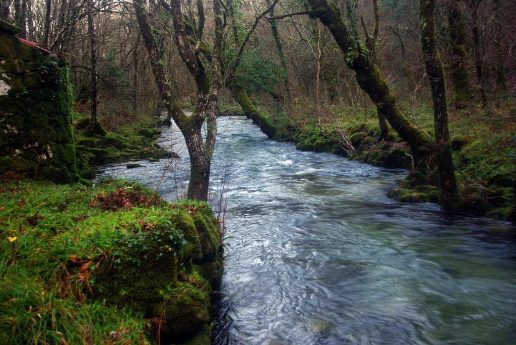 Foto de Fornelos de Montes (Pontevedra), España