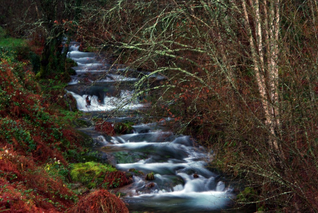 Foto de Fornelos de Montes (Pontevedra), España