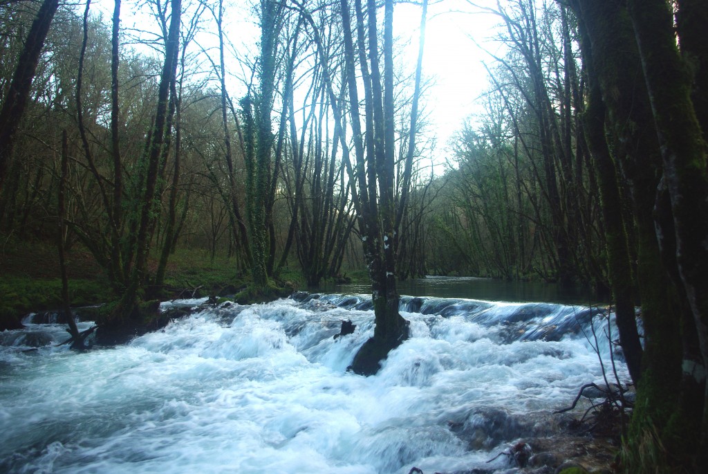 Foto de Fornelos de Montes (Pontevedra), España