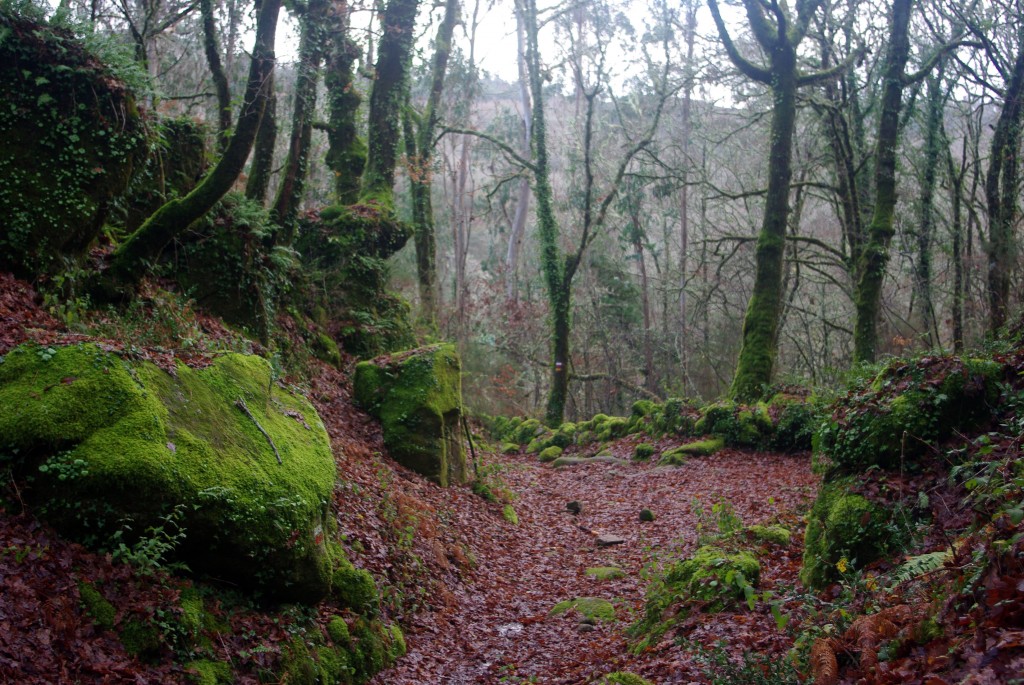 Foto de Fornelos de Montes (Pontevedra), España