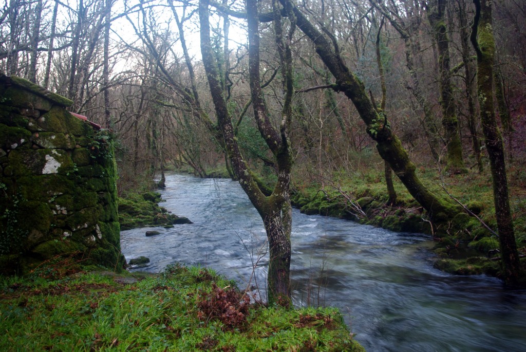 Foto de Fornelos de Montes (Pontevedra), España