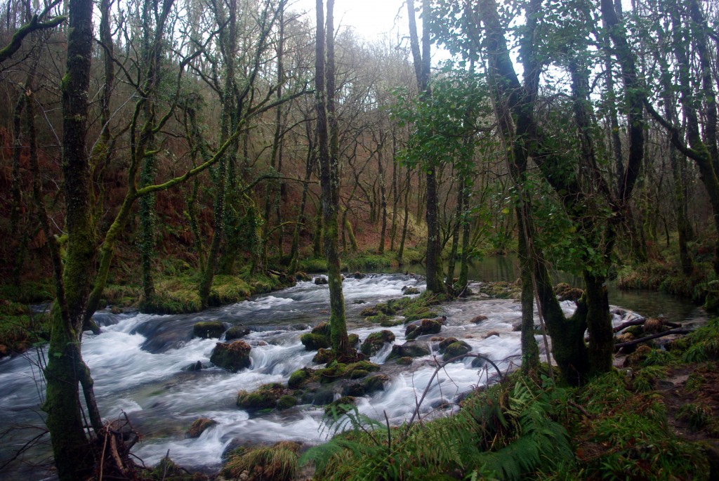 Foto de Fornelos de Montes (Pontevedra), España