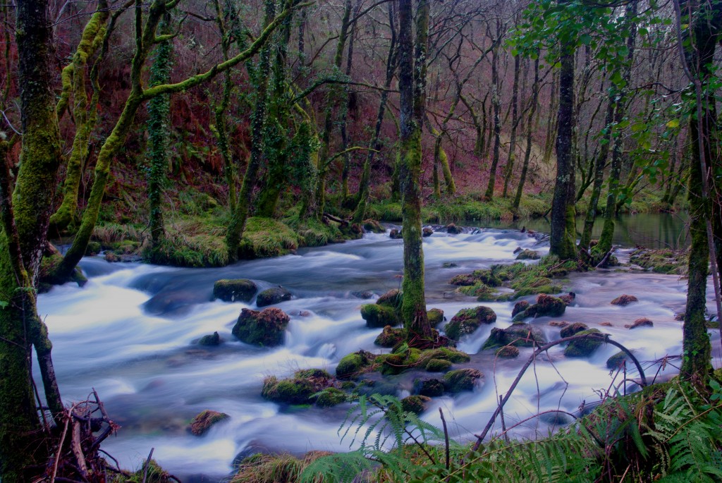 Foto de Fornelos de Montes (Pontevedra), España