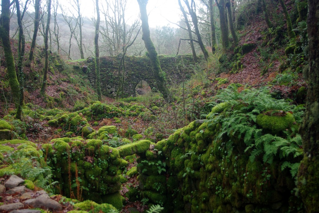 Foto de Fornelos de Montes (Pontevedra), España