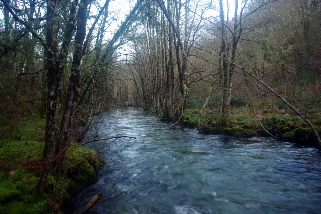 Foto de Fornelos de Montes (Pontevedra), España