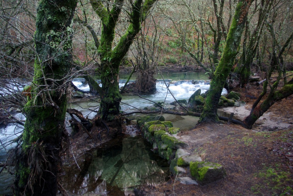 Foto de Fornelos de Montes (Pontevedra), España