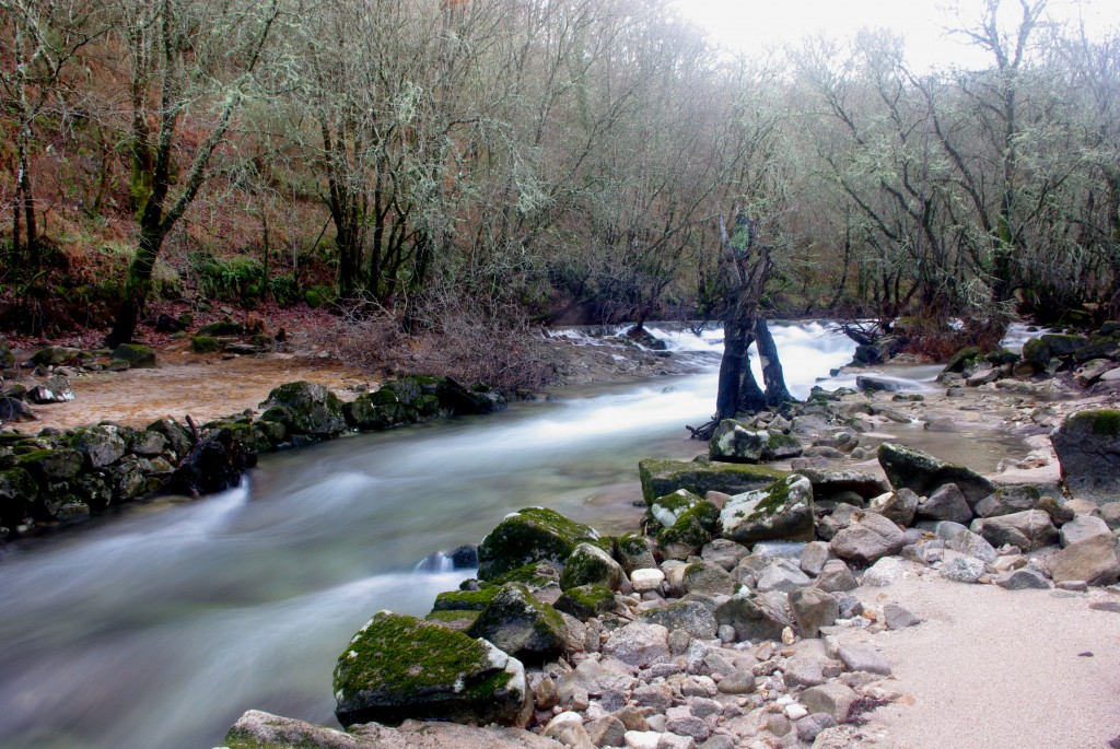 Foto de Fornelos de Montes (Pontevedra), España