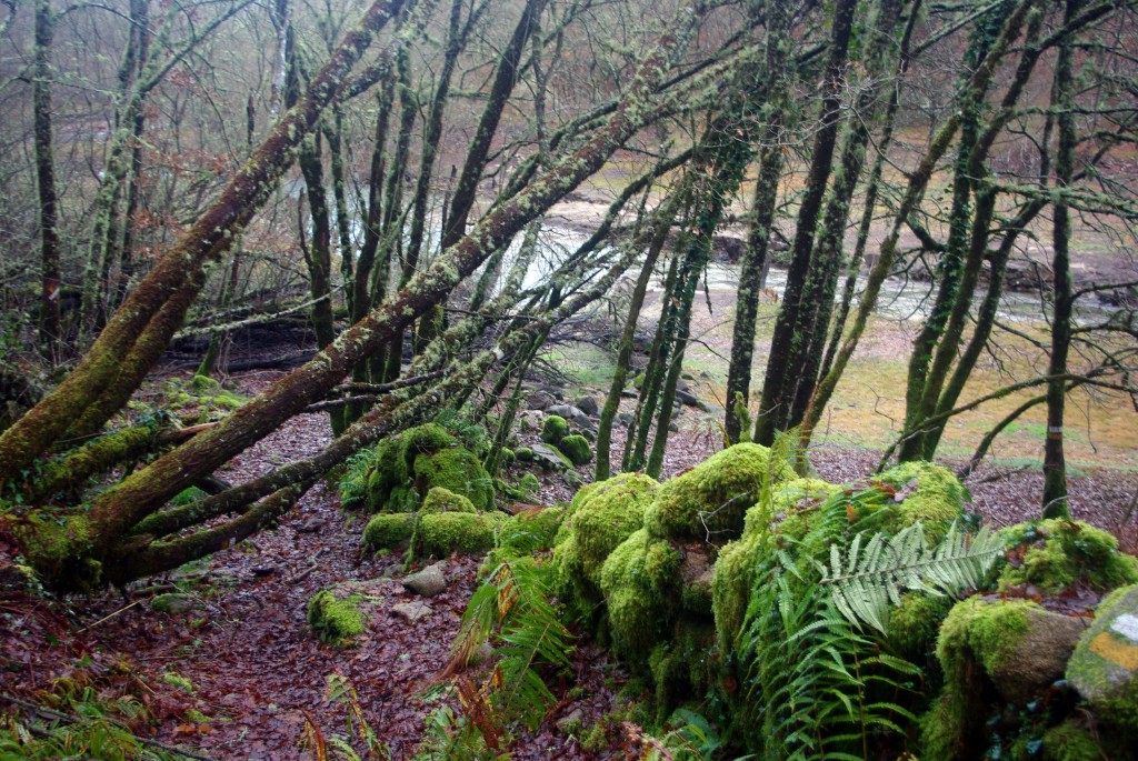 Foto de Fornelos de Montes (Pontevedra), España