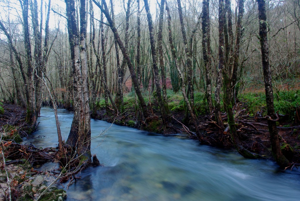 Foto de Fornelos de Montes (Pontevedra), España