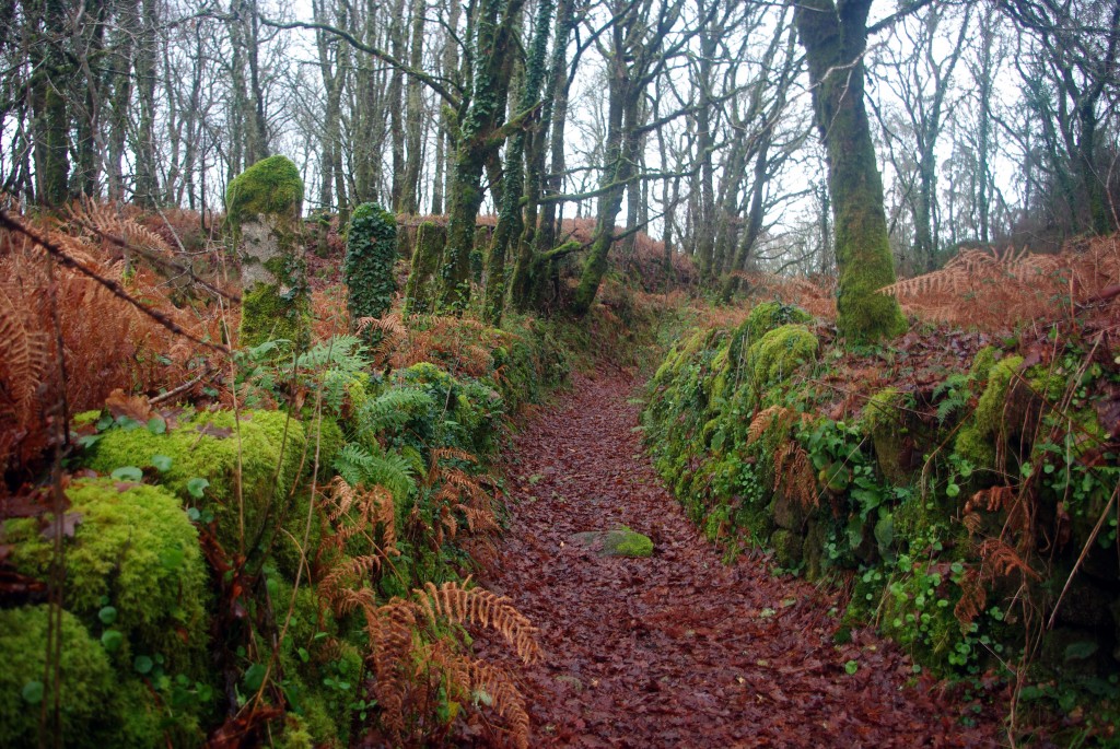 Foto de Fornelos de Montes (Pontevedra), España