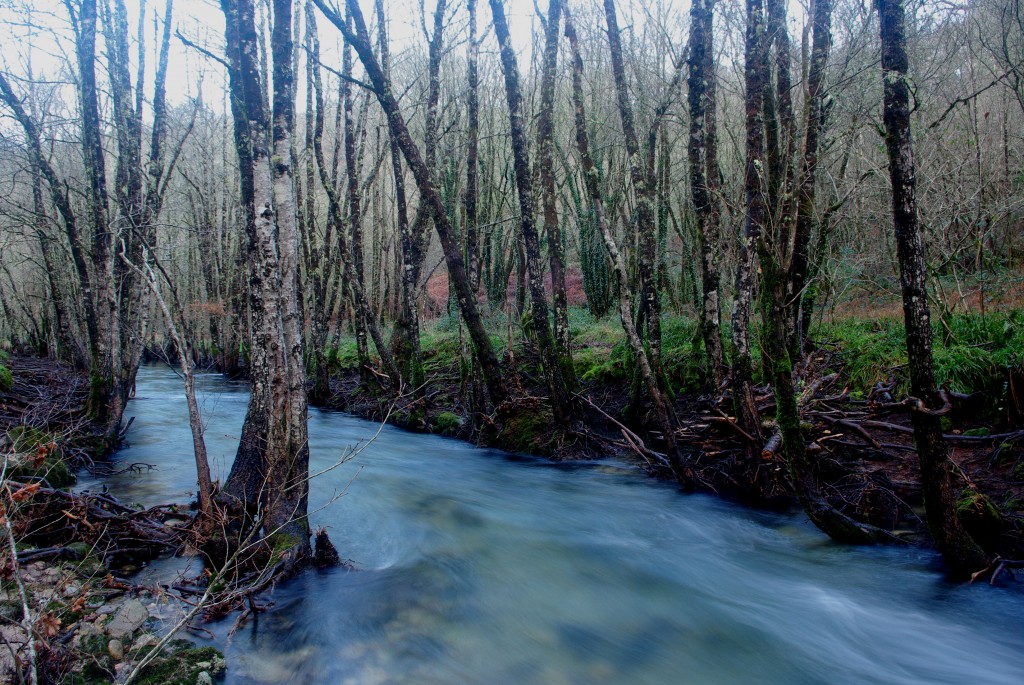 Foto de Fornelos de Montes (Pontevedra), España