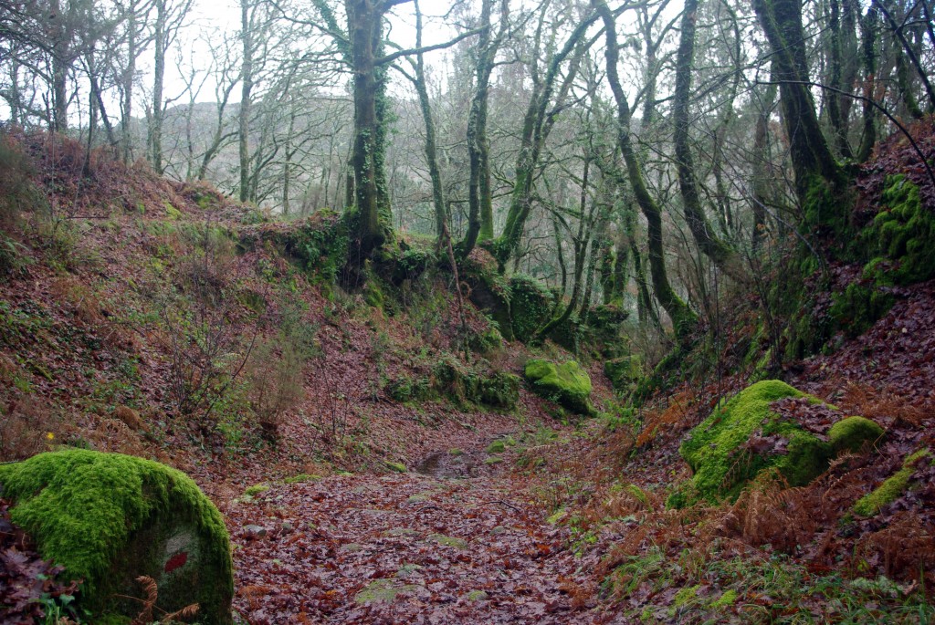 Foto de Fornelos de Montes (Pontevedra), España