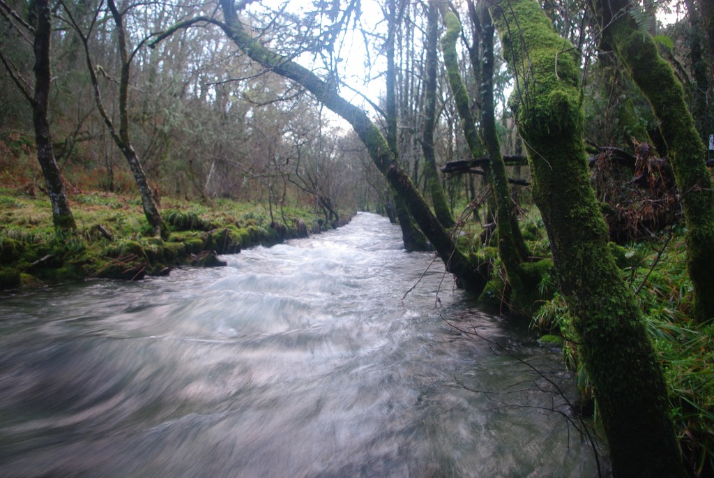 Foto de Fornelos de Montes (Pontevedra), España