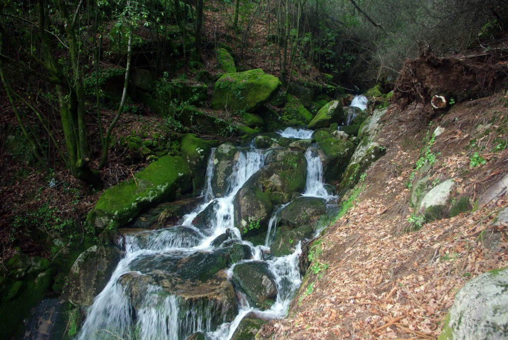 Foto: monte aloia - Tui (Pontevedra), España