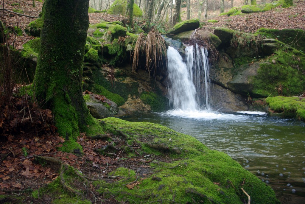 Foto: monte aloia - Tui (Pontevedra), España