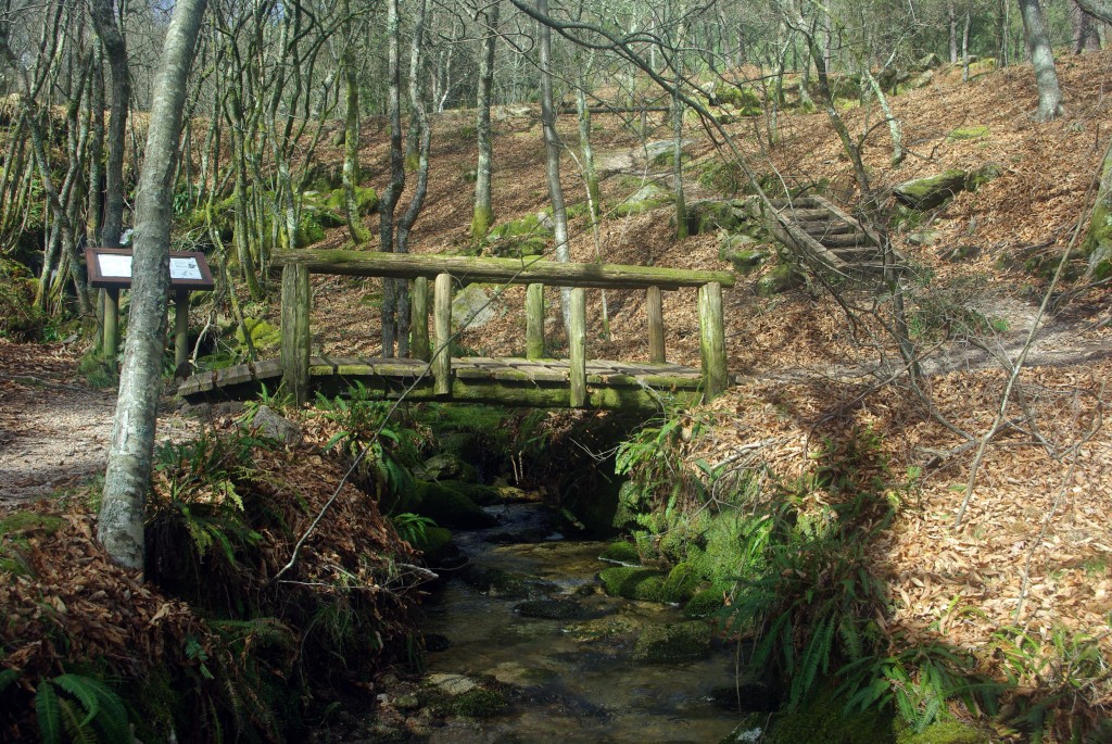 Foto: monte aloia - Tui (Pontevedra), España