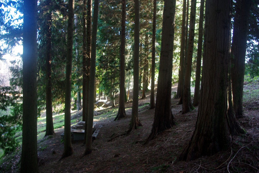 Foto: monte aloia - Tui (Pontevedra), España