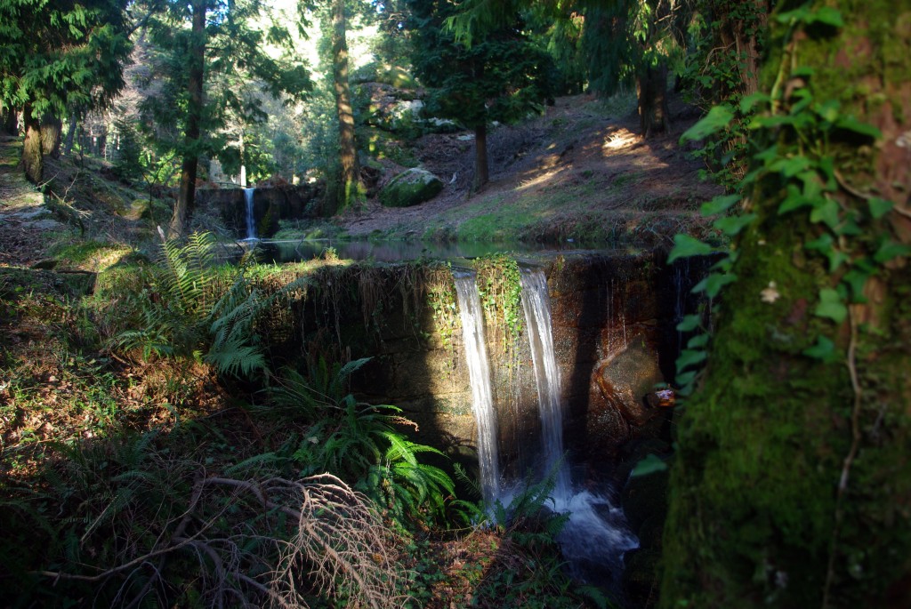 Foto: monte aloia - Tui (Pontevedra), España