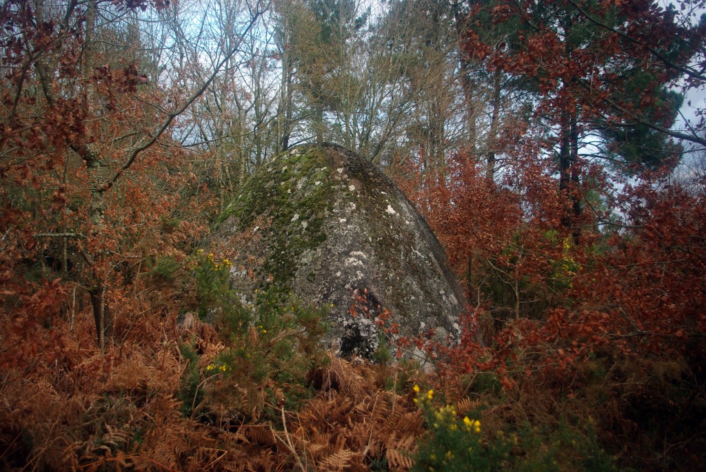 Foto: Pena Corneira - Leiro (Pontevedra), España