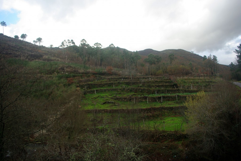 Foto de Sistelo (Viana do Castelo), Portugal