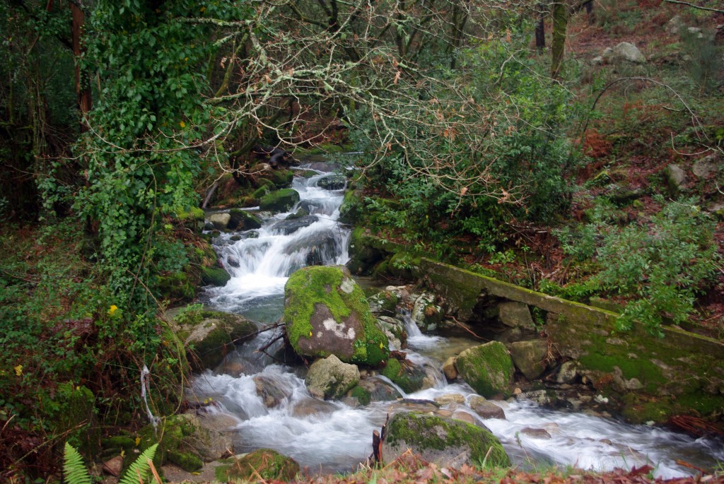 Foto de Sistelo (Viana do Castelo), Portugal