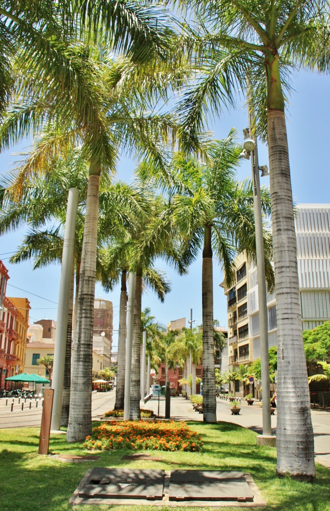 Foto: Vista de la ciudad - Santa Cruz de Tenerife (Canarias), España