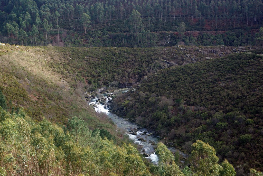 Foto de Fornelos de Montes (Pontevedra), España