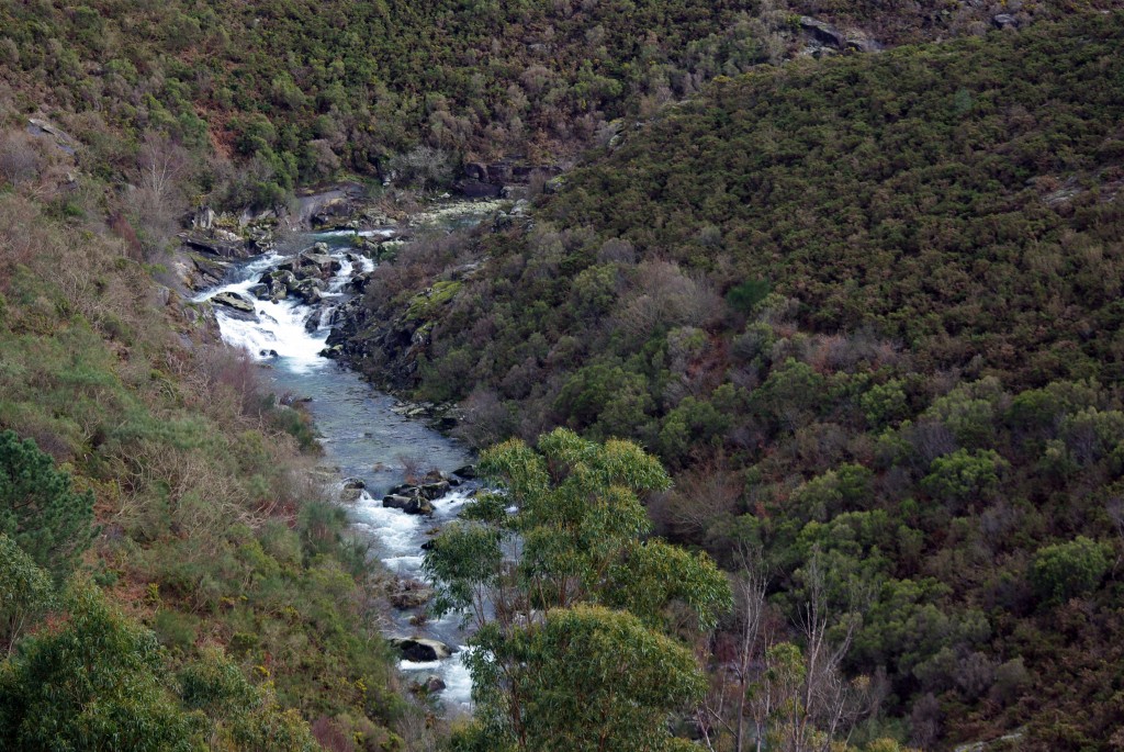 Foto de Fornelos de Montes (Pontevedra), España