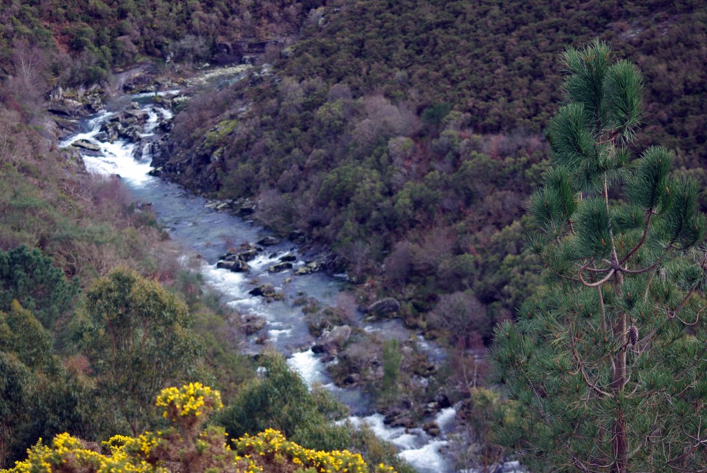 Foto de Fornelos de Montes (Pontevedra), España