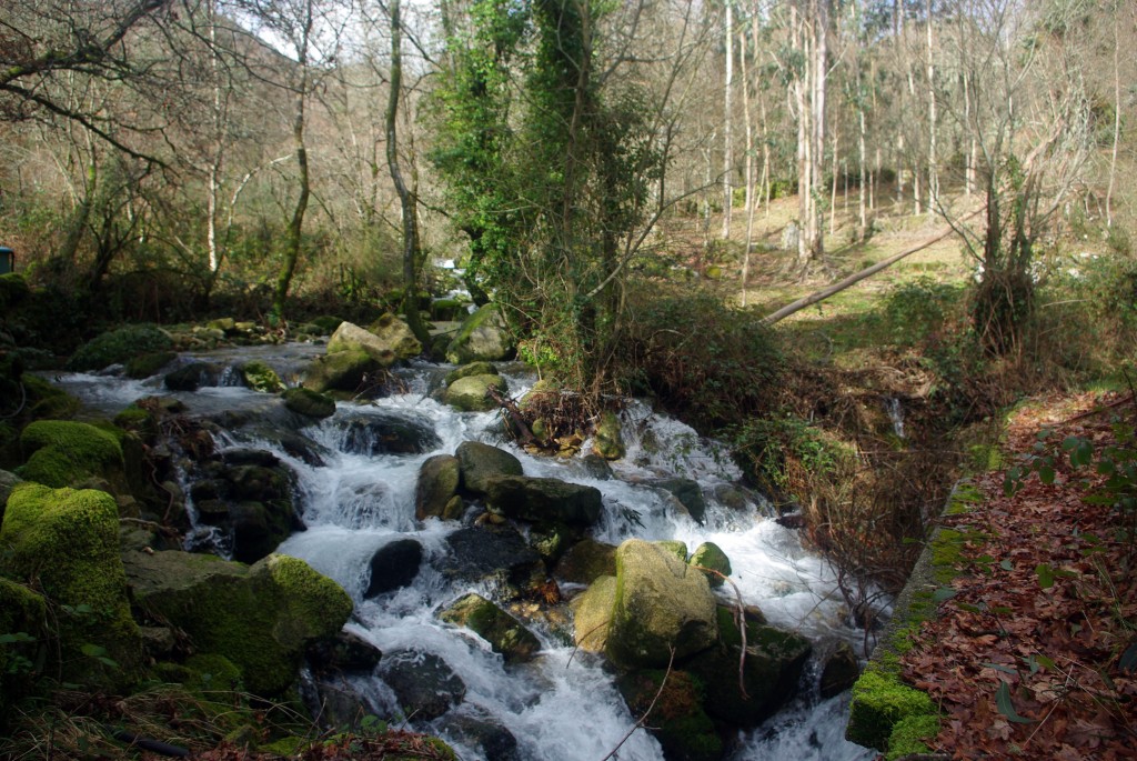 Foto de Fornelos de Montes (Pontevedra), España