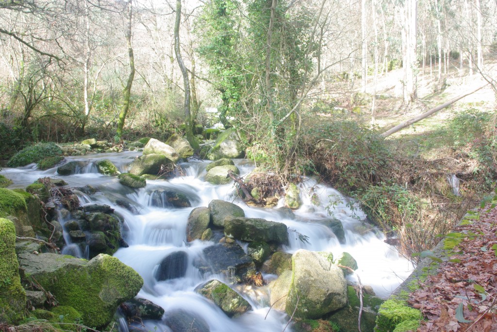 Foto: Serra do Duido - Fornelos de Montes (Pontevedra), España