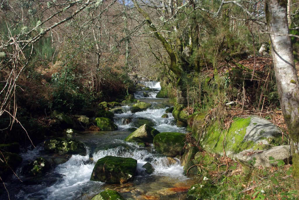 Foto: Serra do Suido - Fornelos de Montes (Pontevedra), España