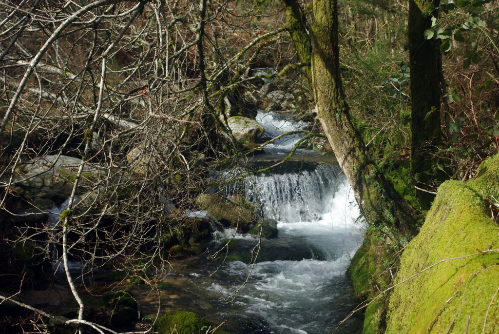 Foto: Serra do duido - Fornelos de Montes (Pontevedra), España