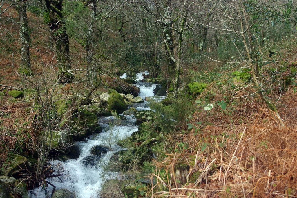 Foto: Serra do Suido - Fornelos de Montes (Pontevedra), España