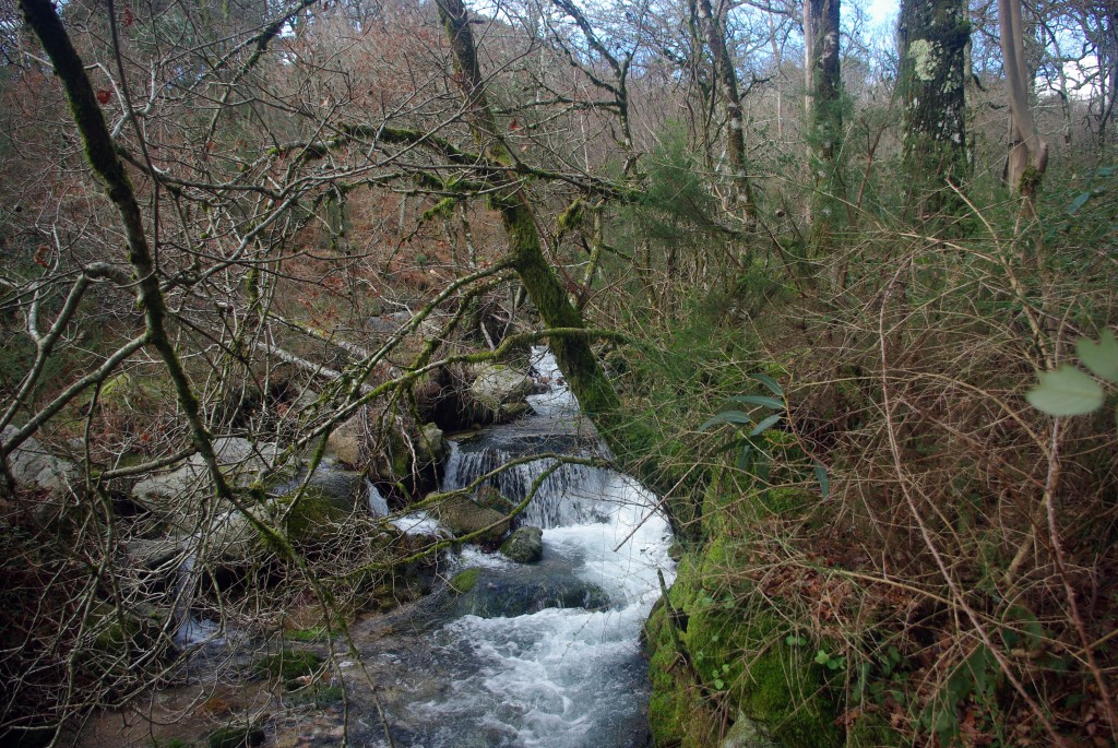 Foto de Fornelos de Montes (Pontevedra), España